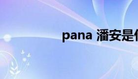 pana 潘安是什么人物）