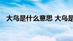 大鸟是什么意思 大鸟是什么意思网络用语