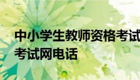 中小学生教师资格考试网 中小学生教师资格考试网电话