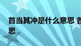 首当其冲是什么意思 首当其冲什么意思的意思