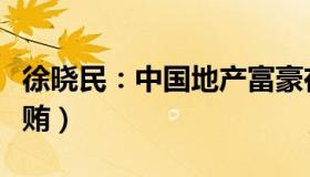 徐晓民：中国地产富豪在英被捕（被控涉嫌行贿）