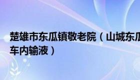 楚雄市东瓜镇敬老院（山城东瓜：诊所爆满市民车排门口坐车内输液）