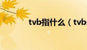 tvb指什么（tvb是什么意思）