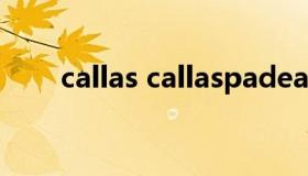 callas callaspadeaspade什么意思