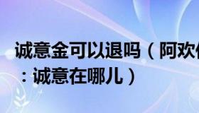 诚意金可以退吗（阿欢传：人民网评张翰新剧：诚意在哪儿）