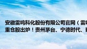 安徽雷鸣科化股份有限公司官网（雷鸣科化股票多日点评：一季度基金重仓股出炉！贵州茅台、宁德时代、药明康德受追捧）