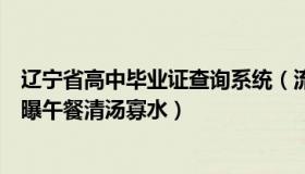 辽宁省高中毕业证查询系统（流浪者武先生：辽宁一高中被曝午餐清汤寡水）