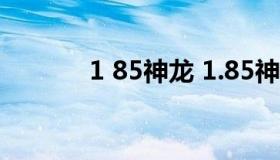 1 85神龙 1.85神龙终极版本）