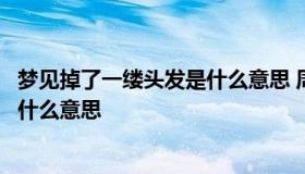 梦见掉了一缕头发是什么意思 周公解梦（梦到掉一缕头发是什么意思