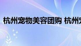 杭州宠物美容团购 杭州宠物美容学校排名榜