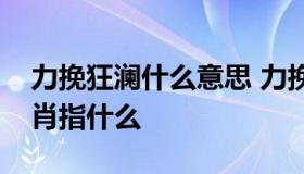 力挽狂澜什么意思 力挽狂澜什么意思十二生肖指什么