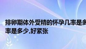 排卵期体外受精的怀孕几率是多少 排卵期体外受精的怀孕几率是多少,好紧张