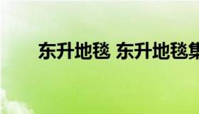 东升地毯 东升地毯集团现任董事长）