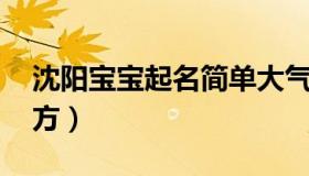 沈阳宝宝起名简单大气 沈阳起名最专业的地方）