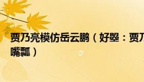 贾乃亮模仿岳云鹏（好曌：贾乃亮首次说相声被岳云鹏整到嘴瓢）