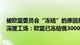 被欧盟委员会“冻结”的原因是什么?你怎么看待这件事?（深度工场：欧盟已冻结俄3000亿欧元储备）