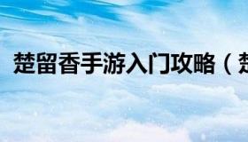 楚留香手游入门攻略（楚留香手游官方网站