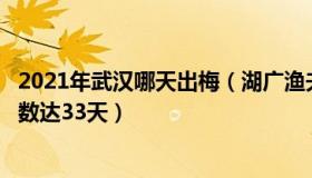 2021年武汉哪天出梅（湖广渔夫：武汉今年出梅以来高温日数达33天）