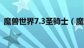 魔兽世界7.3圣骑士（魔兽世界9.05圣骑士）