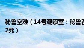 秘鲁空难（14号观察室：秘鲁客机起飞时与地面车辆相撞致2死）