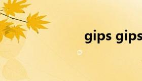 gips gipsy吉他