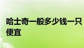 哈士奇一般多少钱一只（哈士奇多少钱一只最便宜