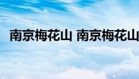 南京梅花山 南京梅花山最佳观赏时间2023