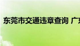 东莞市交通违章查询 广东东莞交通违章查询