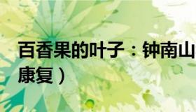 百香果的叶子：钟南山称孙女感染新冠（3天康复）