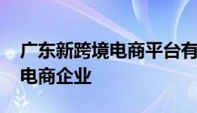 广东新跨境电商平台有哪些 广东省十大跨境电商企业