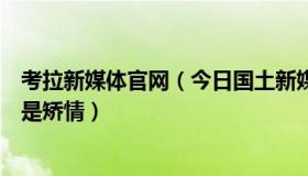 考拉新媒体官网（今日国土新媒体：媒体：过年调休被骂不是矫情）