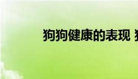 狗狗健康的表现 狗狗健康知识