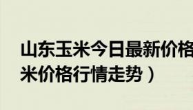 山东玉米今日最新价格行情预测 今日山东玉米价格行情走势）