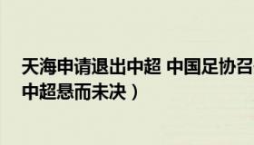 天海申请退出中超 中国足协召开问询会,天津天海能否准入中超悬而未决）