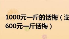 1000元一斤的话梅（澎湃新闻：网友称买到1600元一斤话梅）