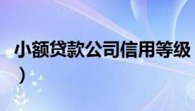 小额贷款公司信用等级（小贷公司评级打分表）