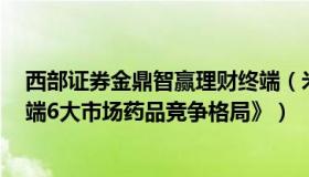 西部证券金鼎智赢理财终端（米内网《中国三大终端6大终端6大市场药品竞争格局》）