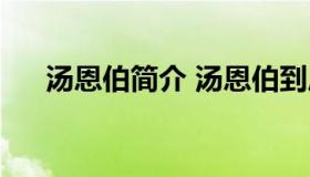 汤恩伯简介 汤恩伯到底是什么样的人）