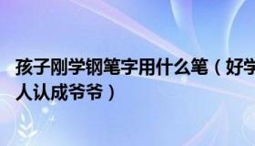 孩子刚学钢笔字用什么笔（好学的钢笔：90后小伙有娃后被人认成爷爷）