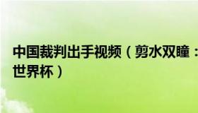 中国裁判出手视频（剪水双瞳：时隔20年中国裁判再次亮相世界杯）