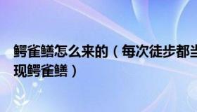 鳄雀鳝怎么来的（每次徒步都当一次旅行：石家庄一小区发现鳄雀鳝）