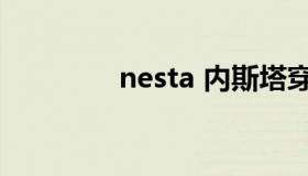 nesta 内斯塔穿几号球衣）