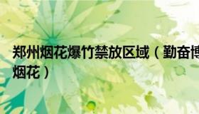 郑州烟花爆竹禁放区域（勤奋博学：官方回应郑州CBD燃放烟花）