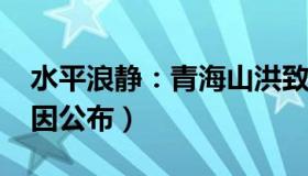 水平浪静：青海山洪致17死17失联（灾害成因公布）