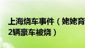 上海烧车事件（姥姥育儿：上海一车行起火12辆豪车被烧）