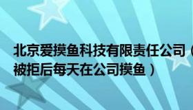 北京爱摸鱼科技有限责任公司（甄郝说事儿：女子表白领导被拒后每天在公司摸鱼）