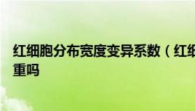 红细胞分布宽度变异系数（红细胞分布宽度变异系数偏高严重吗