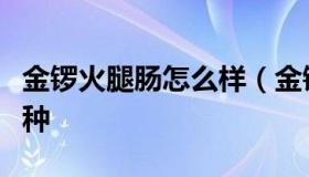 金锣火腿肠怎么样（金锣火腿肠最好的是哪一种