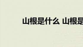 山根是什么 山根是什么意思饭圈