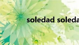 soledad soledad中文翻唱）